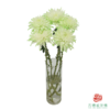 VDB吸色小菊-抹茶绿 5枝一扎 商品缩略图2