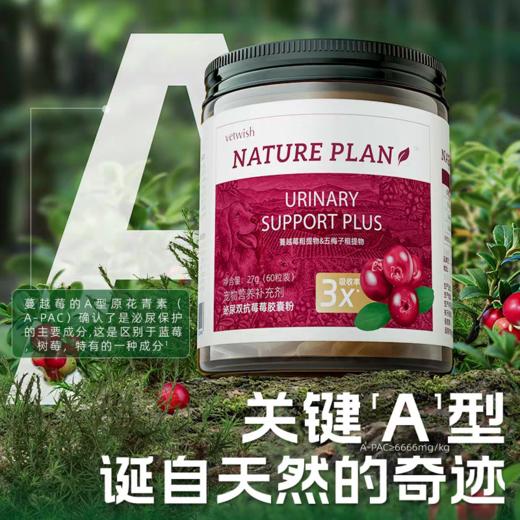 vetwish唯特适 宠物泌尿片 80粒/瓶 商品图3