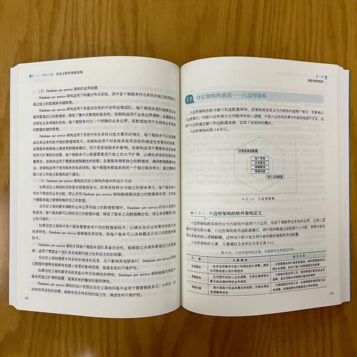 架构之道：自定义软件体系结构 商品图2