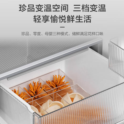 海尔（Haier）冰箱 BCD-501WGHTDB5X8U1 商品图10