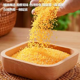 （乡村振兴商品）咸丰土家玉米糁