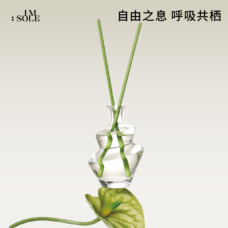 IMSOLE不定所自由之境无火香薰