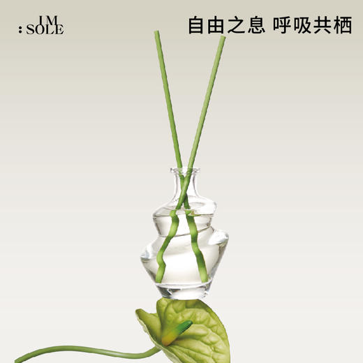 IMSOLE不定所自由之境无火香薰 商品图0