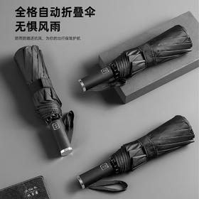 全格全自动雨伞10骨男士商务折叠伞大号太阳伞遮阳防晒-尊贵黑 黑色 10骨