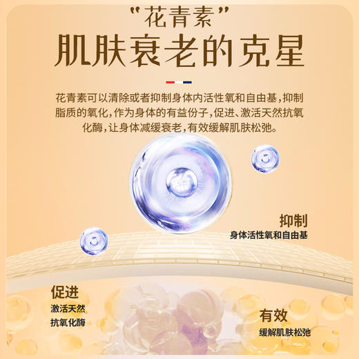 保税直发 SHIFT 气血小红瓶 10支/盒 1盒/3盒 商品图3