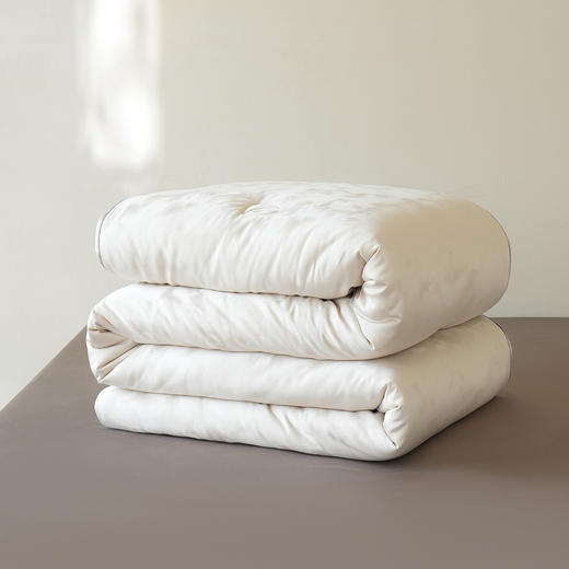 植物大豆暖润被-冬被-银灰色-200*230cm 2750g 商品图7