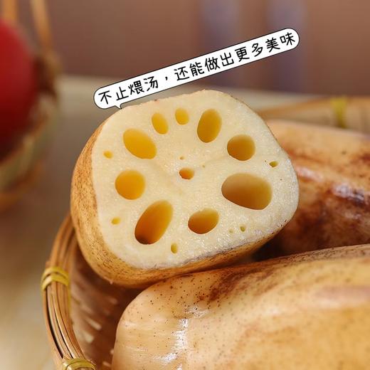 洪湖莲藕 | 精选沔城藕品种，真正的老品种!只取中间3-4段精华部分!入口粉糯不干，久煮不烂，多汁更拉丝!成然度高口感好 商品图1