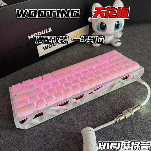 ​WOOTING键盘WOOTING 60HE+客制化 满配改装WOOTING WOOTING天花板 下单备注微信/电话 商品图4