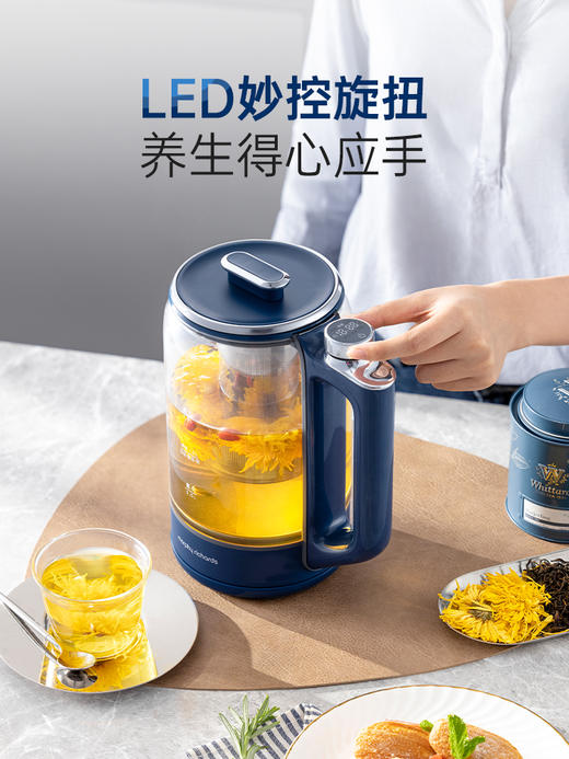 摩飞养生壶家用多功能办公室小型煮茶器玻璃花茶便携式保温烧水壶MR6089
 商品图1