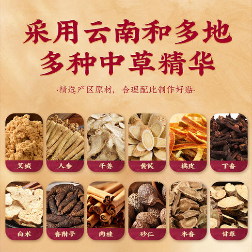 “秋季养脾胃黄金期”福林堂 十二味脾胃贴 6袋/盒 商品图2