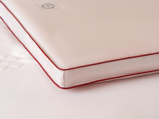 艾草养肤被-冬被-粉色-200*230cm  2500g 商品图5