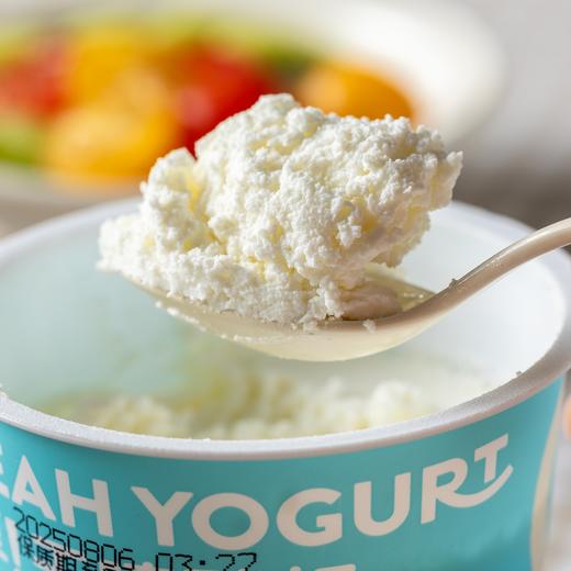 【3-7天内发货】乐纯干噎酸奶|每盒含有10g原生乳蛋白！营养饱腹超香浓 商品图0