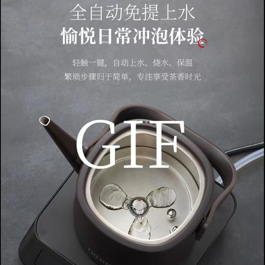 【春上新】10楼 膳魔师  膳魔师电热水壶吊牌价780元 活动价699元 商品图3