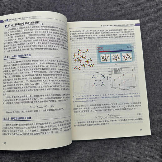 官网 钠离子电池 材料 表征与技术 下卷 玛拉 马格达莱纳 蒂廷斯 钠离子电池材料理论技术应用书籍 商品图4