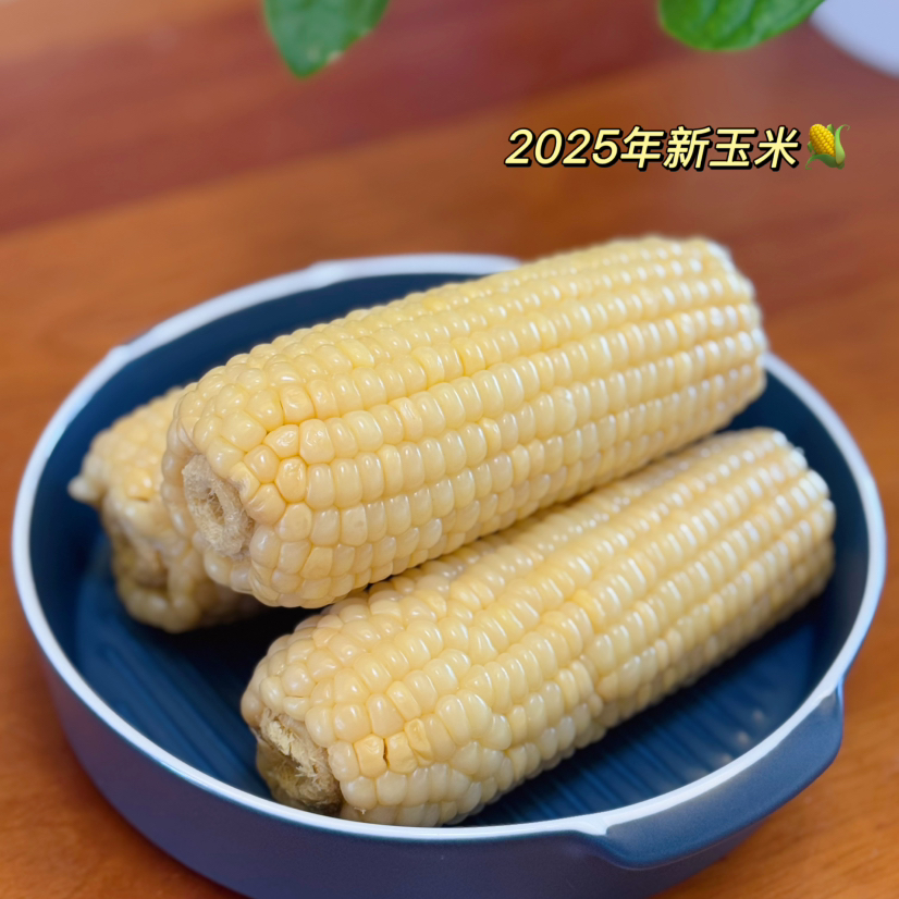 【25年新玉米黄糯玉米和白糯玉米多选择  】吃过就忘不了的甜糯鲜玉米  601箱农残检测  3粒糯1粒甜 每一口都是甜香味~孕妇、老人、小孩都可以吃 保质期12个月