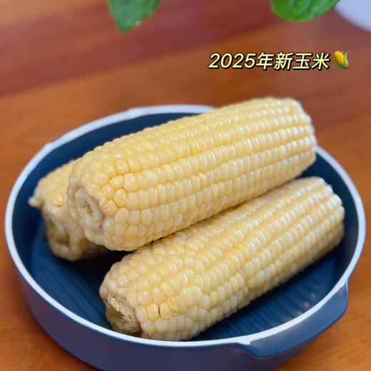 【25年新玉米黄糯玉米和白糯玉米多选择  】吃过就忘不了的甜糯鲜玉米  601箱农残检测  3粒糯1粒甜 每一口都是甜香味~孕妇、老人、小孩都可以吃 保质期12个月 商品图0