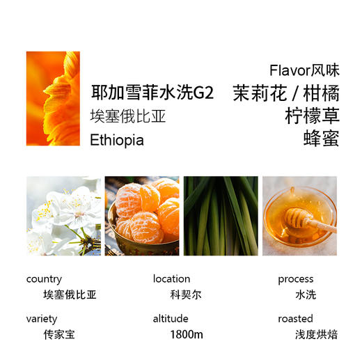 诚品咖啡耶加雪菲科契尔G2水洗精品咖啡豆200g 商品图1