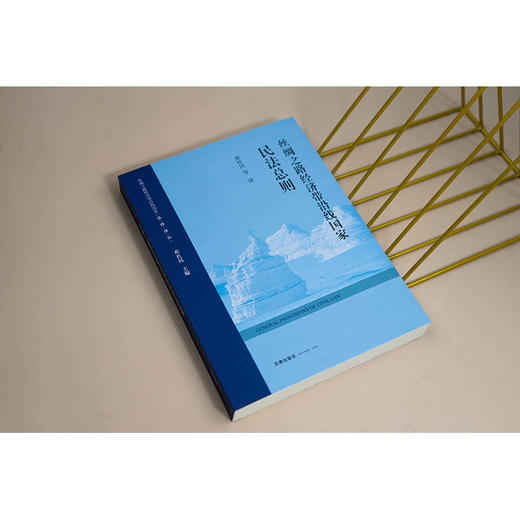 丝绸之路经济带沿线国家民法总则 邓社民等译 法律出版社 商品图2