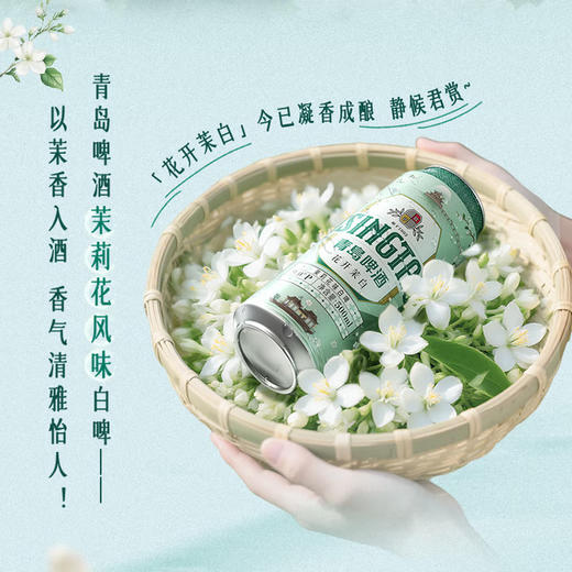 青岛啤酒（TsingTao）茉莉花味白啤 500ml*12听 整箱装  新品发售 商品图7