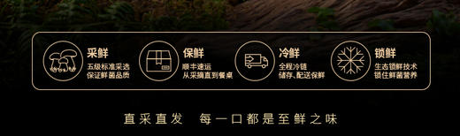宁正丰七彩菌宴鲜品598型（菌彩盛宴装） （净含量：1150克）卡券/现货直发 商品图1