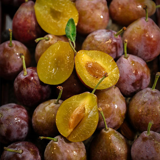 新疆法兰西西梅清甜爽口细腻绵甜，汁水充沛，冷藏后更加脆甜鲜嫩哦 商品图8