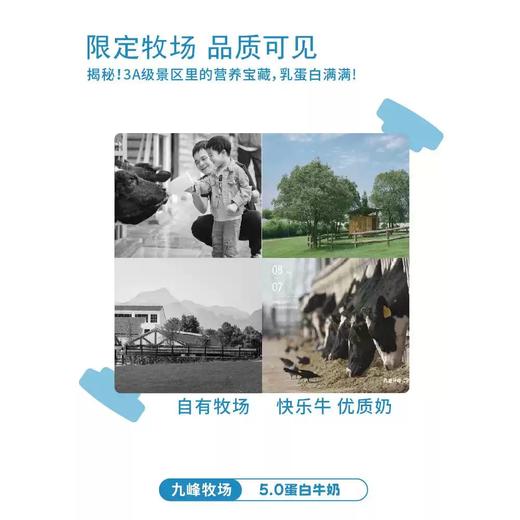 预售3-7天发货&九峰牧场自然甜&5.0牛乳牛奶#自然甜牛乳无乳糖好吸收&5.0优质乳蛋白高钙纯牛奶，短保15天，顺丰发货 商品图5