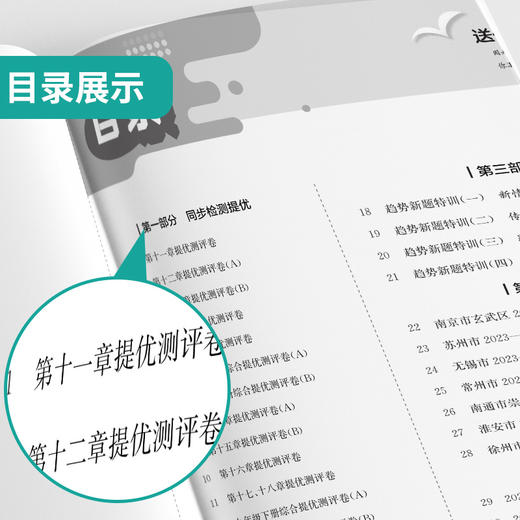 2025秋 【苏科版】 九年级物理(全一册)  实验班提优训练 商品图2
