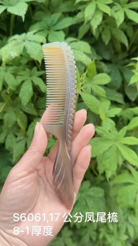 17 公分凤尾梳