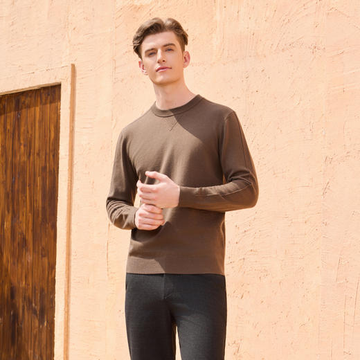 半身缘男装 秋季休闲商务舒适百搭毛衫253312M01210010 商品图4