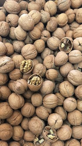 （生）新疆185纸皮核桃15.8元1袋约500g，明天到