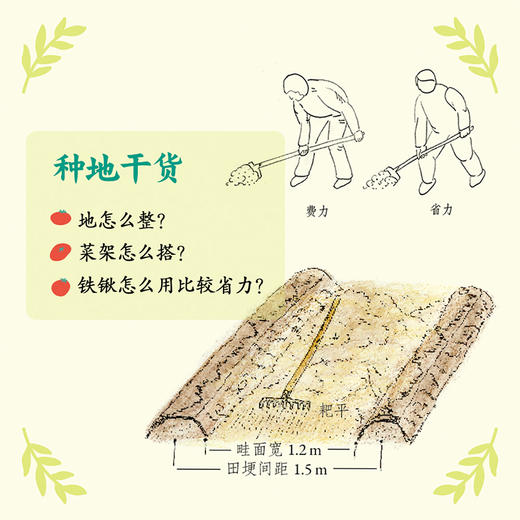 在里山种地（30亩地，北京郊外70公里，两个生物学人的十年耕种手记） 商品图2