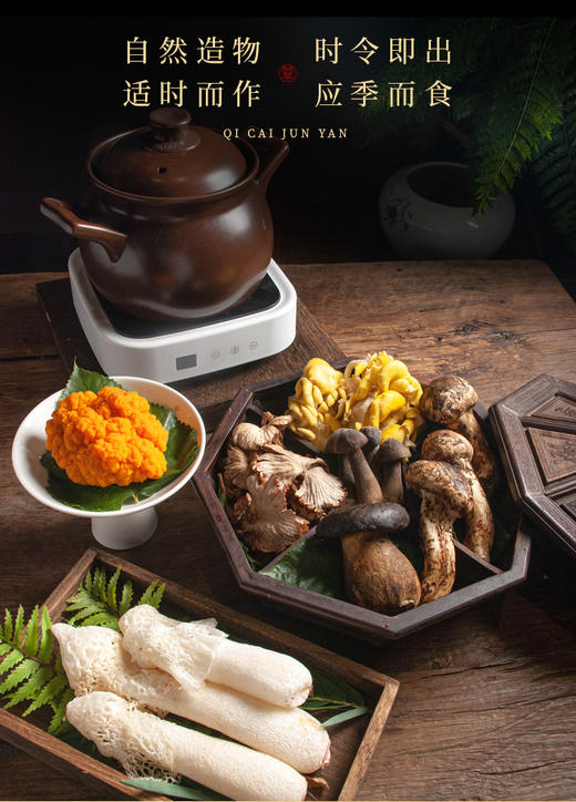 宁正丰七彩菌宴鲜品598型（菌彩盛宴装） （净含量：1150克）卡券/现货直发 商品图3