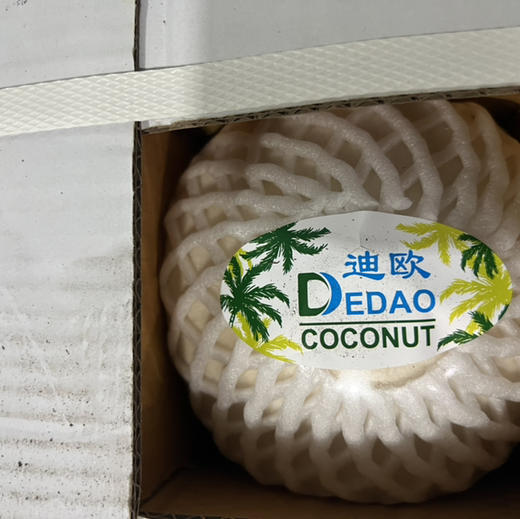 泰国 香水椰青 大果9.9/个 甘甜爽口 商品图2