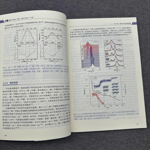 官网 钠离子电池 材料 表征与技术 上卷 玛拉 马格达莱纳 蒂廷斯 钠离子电池材料技术理论研究现状产业应用发展书籍 商品图4