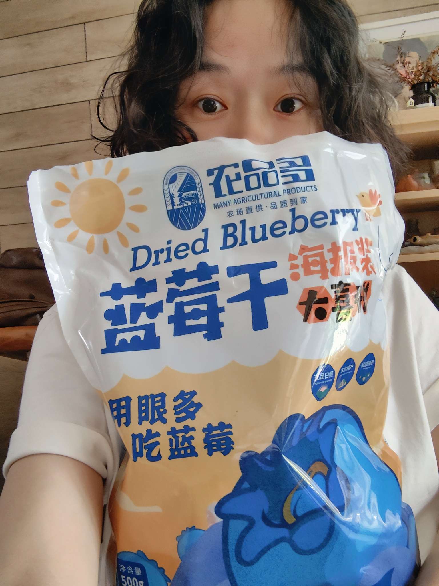 猫太推荐—好好吃的大果蓝莓干 500g大包装