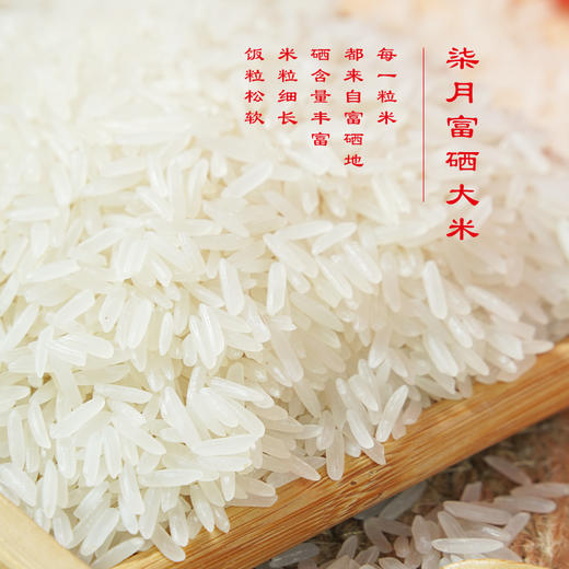 【陇间柒月】千秋诗颂·稻香丰年A2.WN 商品图1