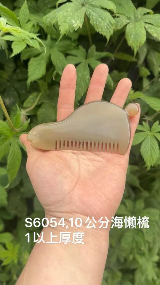 10公分海懒梳 商品图0