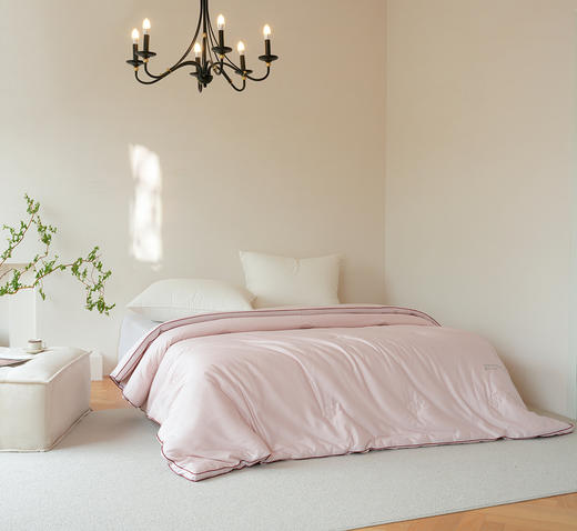 艾草养肤被-冬被-粉色-200*230cm  2500g 商品图2