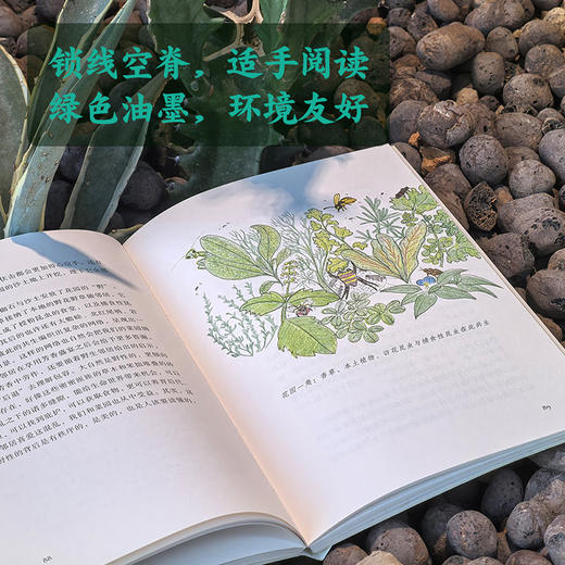 在里山种地（30亩地，北京郊外70公里，两个生物学人的十年耕种手记） 商品图5