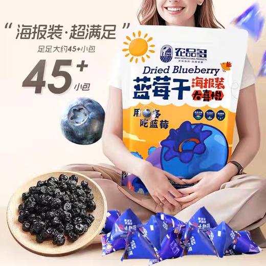 猫太推荐—好好吃的大果蓝莓干 500g大包装 商品图4