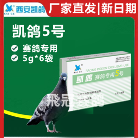 凯鸽5号五号单眼伤风衣原体流泪红肿粉剂赛信鸽子保健日常