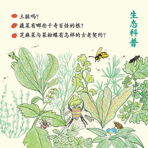 在里山种地（30亩地，北京郊外70公里，两个生物学人的十年耕种手记） 商品图4