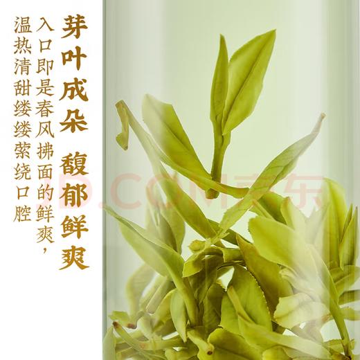 【安吉白茶】去寻2025新茶叶礼盒特级 商品图4