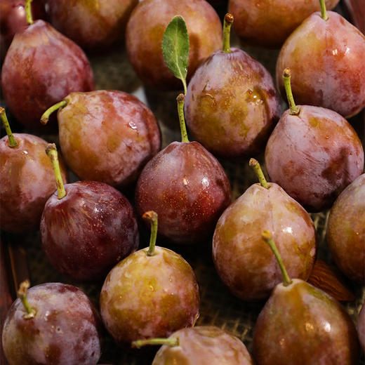 新疆法兰西西梅清甜爽口细腻绵甜，汁水充沛，冷藏后更加脆甜鲜嫩哦 商品图7