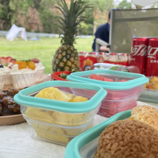 Partita 硅胶折叠保鲜盒春芽款|食用级别硅胶，一体成型可折叠省空间 商品图0