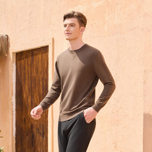 半身缘男装 秋季休闲商务舒适百搭毛衫253312M01210010 商品图2