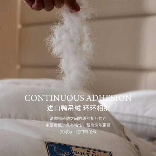 【品牌直发】加倍生活 高奢艾菲尔法国进口鸭绒被 ICEQUEEN冰雪皇后系列羽绒被子 A类标准95白鸭绒被芯 商品图3