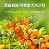 【全国包邮】沙棘果汁 疆果乐（300ml*10瓶） 商品缩略图1