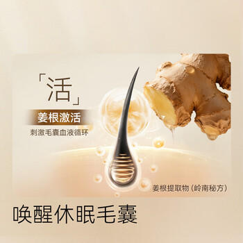 京东京造防脱洗发水生姜侧柏叶固发养发男女士去油屑止痒蓬松洗头膏露金榜 /个人护理 /洗发护发 /洗发水 商品图1