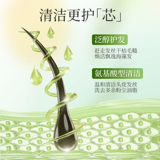 安贝儿  植物精粹养护洗发露(油性发质)压泵款460ml 商品图3